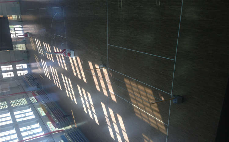 楓樺木體育運(yùn)動(dòng)地板價(jià)格及圖片