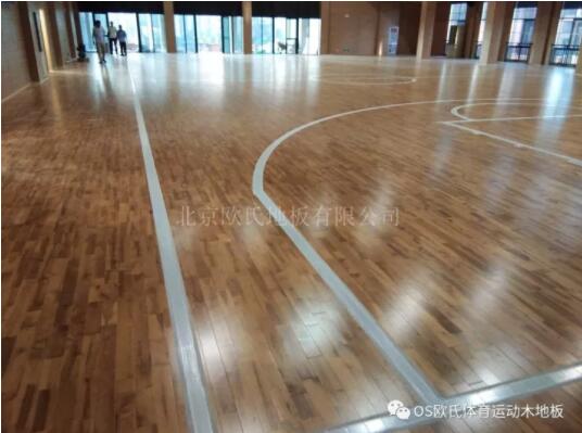 ���K��ɽ��ϣС�W(xu��)�w���^ľ�ذ��(xi��ng)Ŀ����