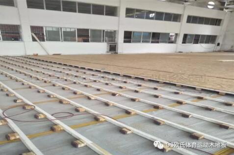 �V�|YBDL���T(m��n) HOOP PARK�@�򹫈@�ɹ�����