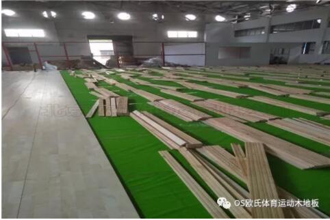 �V�|YBDL���T(m��n) HOOP PARK�@�򹫈@�ɹ�����