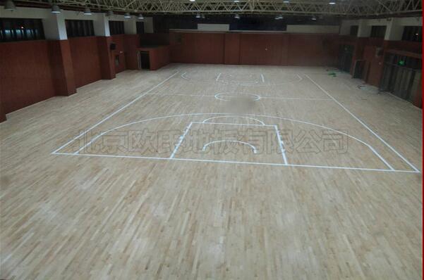 ���ݘ���ЌW(xu��)�@���^ľ�ذ�ɹ�����